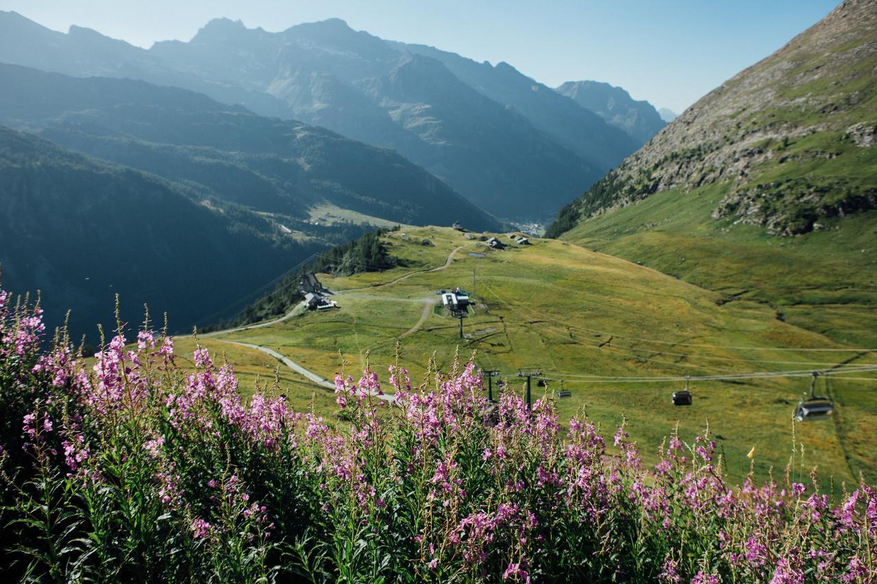 Albergo Ristoro Sitten - 2300 Mt Gressoney-la-Trinité Kültér fotó